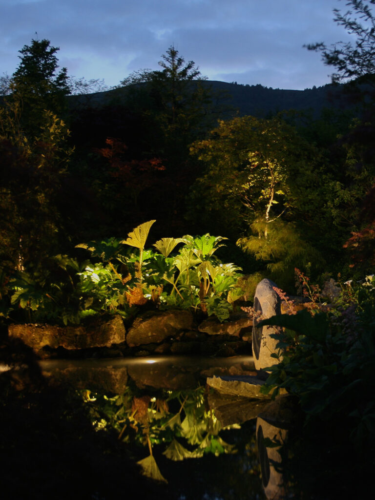 Garden Lighting Pond Lily Pads